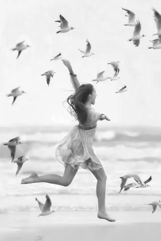 Libertate de Mișcare